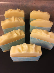 Shampoo Bar