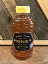 Load image into Gallery viewer, Ames Honey - Processed Squeeze Bottle 1.5#
