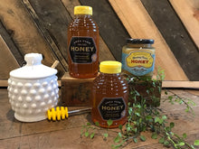 Load image into Gallery viewer, Ames Honey - Processed Squeeze Bottle 1.5#
